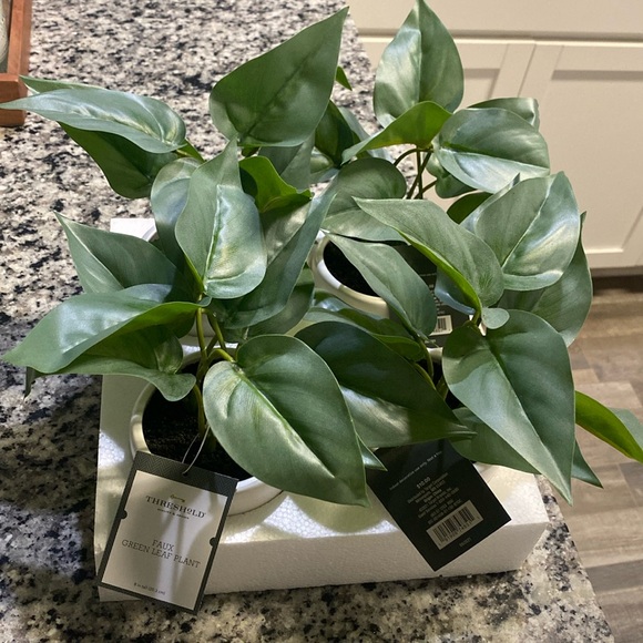 Bundle of 4 Threshold Faux Green Leaf Plants - Picture 7 of 7